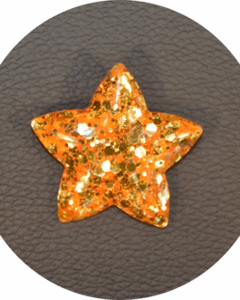 Broche Étoile