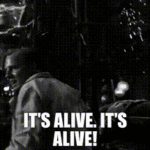 Le site est en ligne !