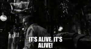 Lire la suite à propos de l’article Le site est en ligne !