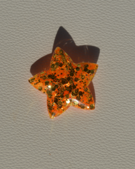 Broche Étoile